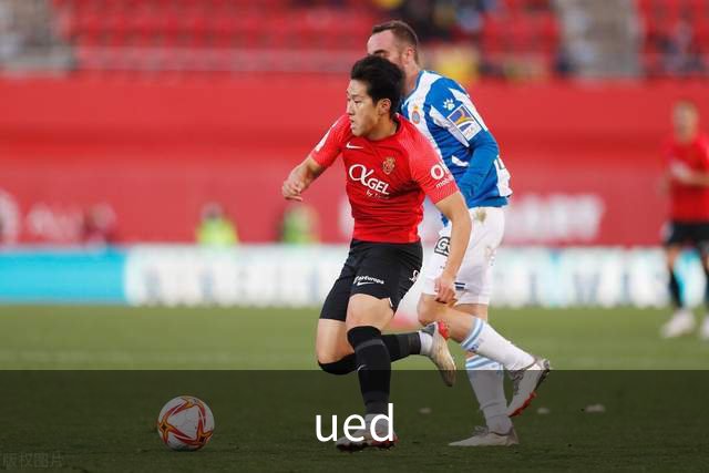 ued公司介绍